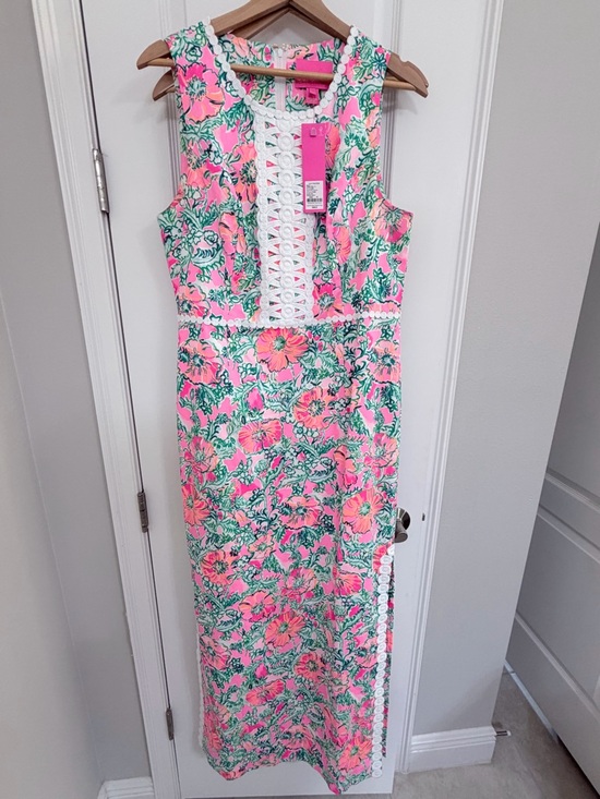 Lilly Pulitzer Dresses & Skirts - Lilly Pulitzer Pink Floral Maxi Dress with Green Accents